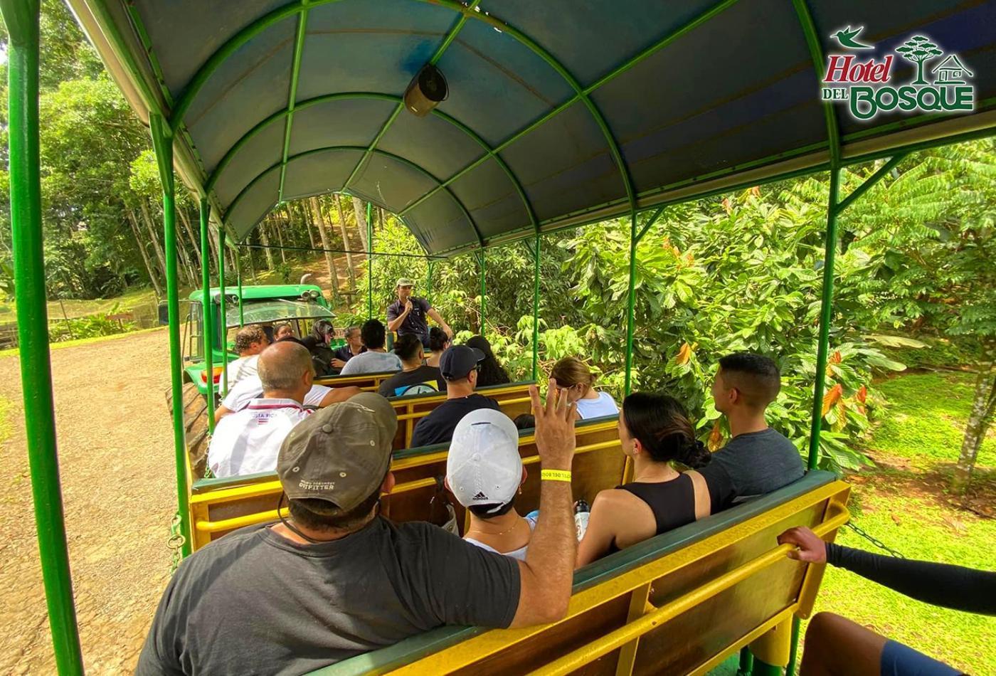 Hotel Del Bosque Río Cuarto المظهر الخارجي الصورة